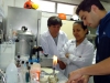 soderal-fermentec-2013-1